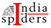 India Spiders